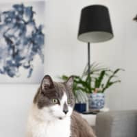 Photo of Benny
