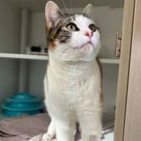 Photo of Millie