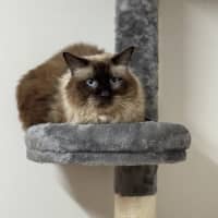 Photo of Mr Ice Blue