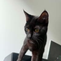 Photo of Taku