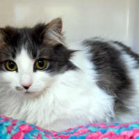 Photo of Lily Sta012784