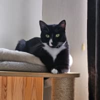 Photo of Neo