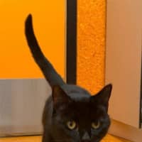 Photo of Freya