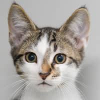 Photo of Theodore