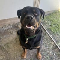 Photo of Axel