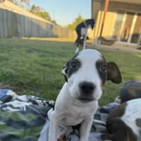 Photo of Esmae (P14)