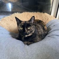 Photo of Arya