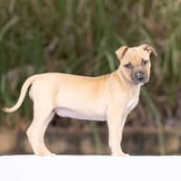 Photo of Winnie