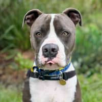 Photo of Bruce