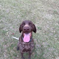 Photo of Cash