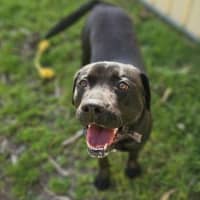 Photo of Betty