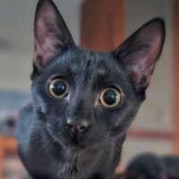Photo of Freddo