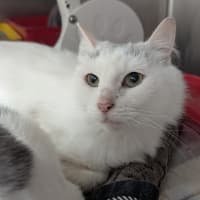 Photo of Breeze
