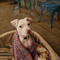 Photo of Winifred (Winnie)