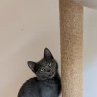 Photo of Greta