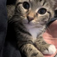 Photo of Timmy (Bob)