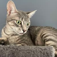 Photo of Aurora   Located In Bentleigh East