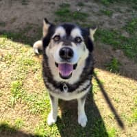 Photo of Cardie
