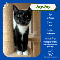 Photo of Jay Jay