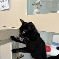 Photo of Spooki