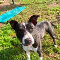 Photo of Molly Imp 1754