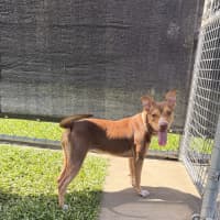 Photo of Coco