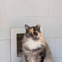 Photo of Narla
