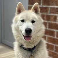 Photo of Max
