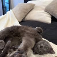 Photo of Cora