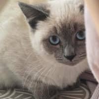 Photo of Sprout