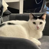 Photo of Nini & Ekko