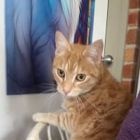 Photo of Arna