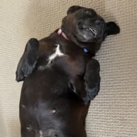 Photo of Abbie