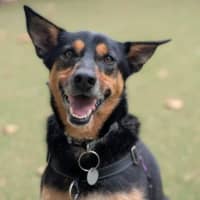 Photo of Sasha