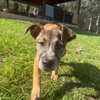Photo of Ernie