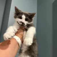 Photo of Mo Babes Meet Me@Hastings Petstock 