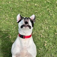 Photo of Biggie Smallz