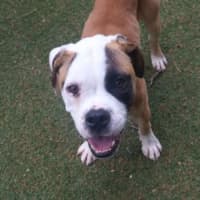 Photo of Betty