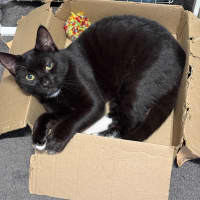 Photo of Astro