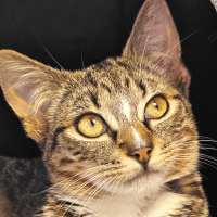 Photo of Lily