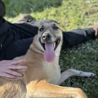 Photo of Zena