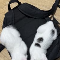 Photo of Bean And Biscuit