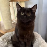 Photo of Luna