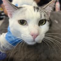 Photo of Klaus