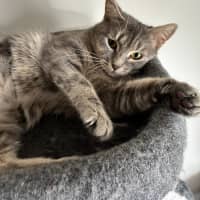 Photo of Molly 