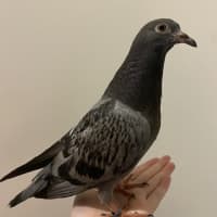 Photo of Vacuum Cleaner