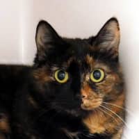 Photo of Charlotte Sta013830