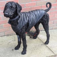 Photo of Arthur Russelton