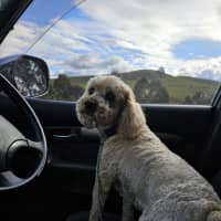 Photo of Cali And Theo