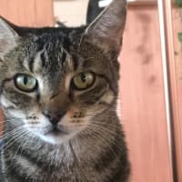 Photo of Kira